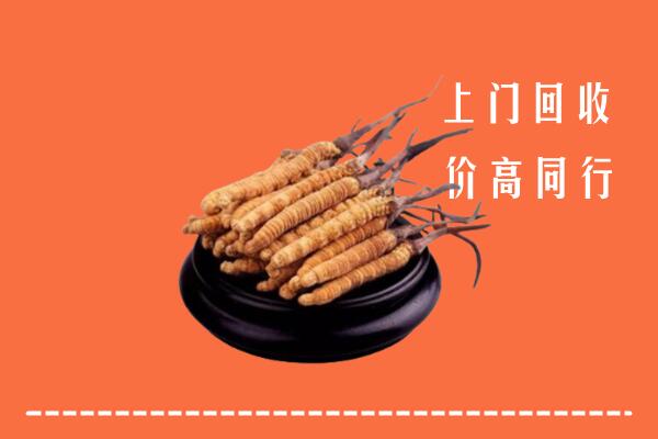 延边市回收散虫草
