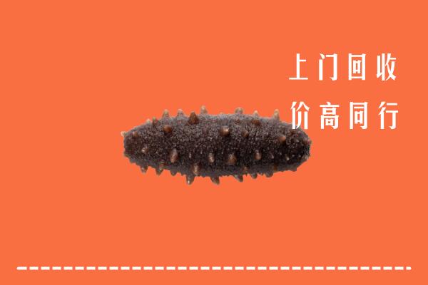 高价求购：延边市回收海参
