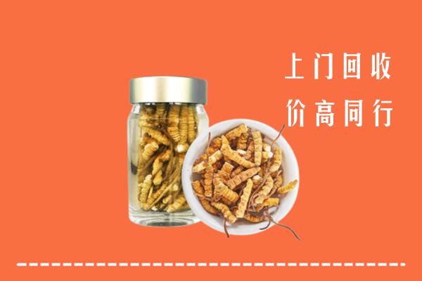 延边市回收冬虫夏草