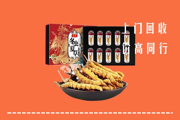延边市回收虫草